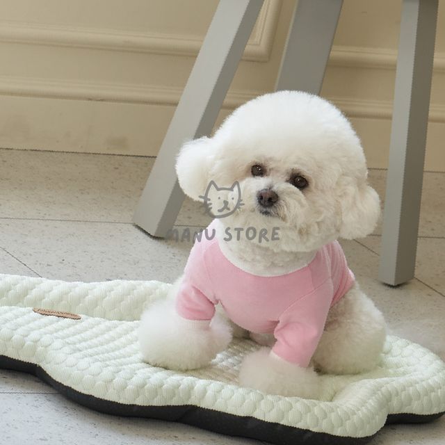 펫베드 강아지베드 반려견침대