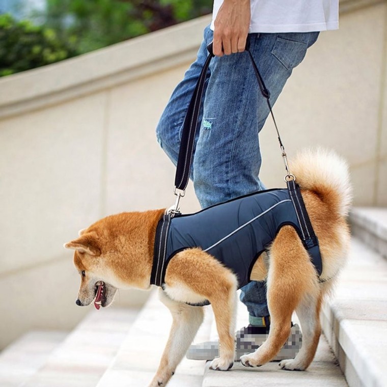 보조복 고령견 노견 재활 S 반려 동물 보행 하네스 강아지 소형 견하 대형 용품 애견