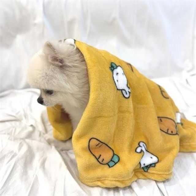 강아지 담요 반려견 담요 소형견 블랭킷 휴대용 겨울 보온 반려동물 유모차 극세사 슬리핑 낮잠 이불 방한