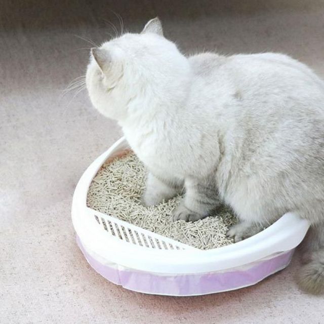 3롤 애묘화장실청소 고양이배변봉투 배변 고양이모래봉투 통봉투 냥이배변용품 비닐